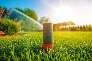 Lawn Sprinkler in Action. Garden Sprinkler Watering Grass. Automatic Sprinklers.