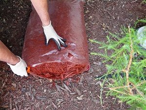 A man prepares to mulch a flower garden to conserve moisture control weeds and insulate plants. Wearing gloves he's opening a bag of cypress mulch.