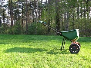 Spreader used for grass seed, overseeding.