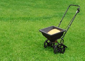 Push fertilizer spreader on green lawn.