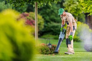 A landscaper using a leaf blower around decorative shrubs and a small tree.