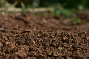 A close up of clean soil for cultivation with grass in the background.