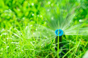 Automatic lawn sprinkler watering green grass. Sprinkler with automatic system. Garden irrigation system watering lawn. Water saving or water conservation from sprinkler system with adjustable head.