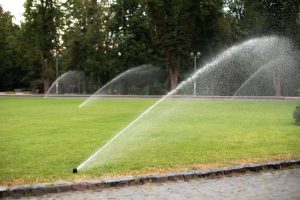 Lawn Sprinklers Water Green Grass