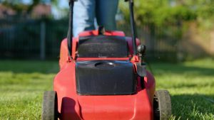 Red lawn mower cutting green grass outdoors.