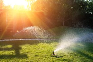 Sprinklers spraying lawn while sun sets in background.