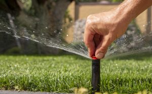 Automatic sprinkler head watering lawn while person fixes it.