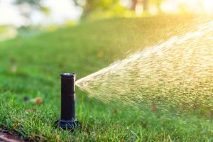 Automatic Sprinkler Watering Lawn