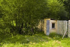 Overgrown garden space with yellow structure and fence in the background.