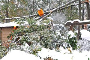 Cleanup crews dealing with fallen trees after snow storm.
