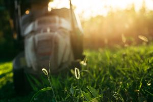 Closeup of a lawn in early spring with a lawnmower in the background.