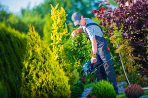 Landscaper starting a hedge trimmer for landscape maintenance.